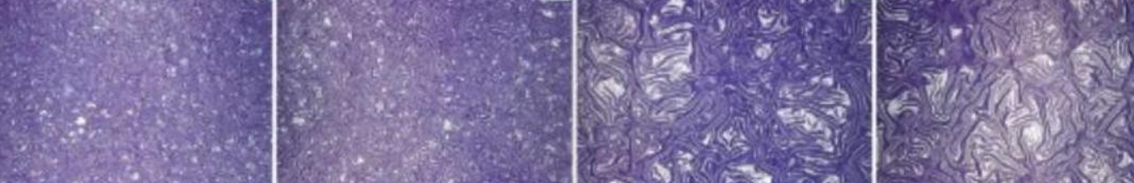 ע�ܼ��ʷ��Ӈ���Ч��